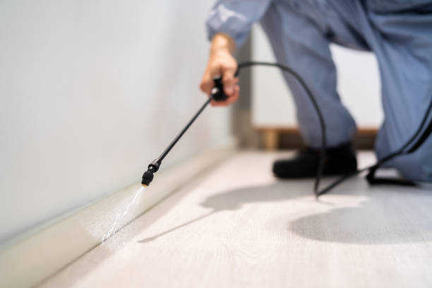 Licensed Cockroach Control service in Jamestown, OH - Nex Pest Control