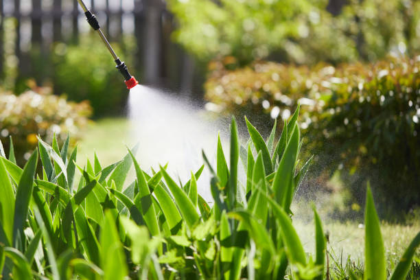 24/7 Emergency Cockroach Control experts in Jamestown, OH