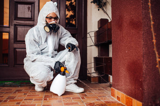 Reliable Cockroach Control contractor in Jamestown, OH by Nex Pest Control