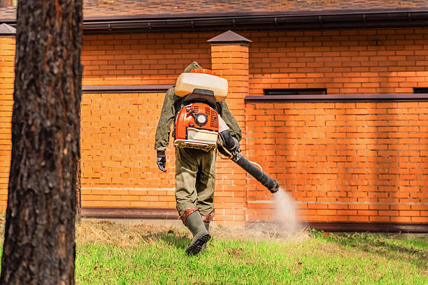 Top rated local Cockroach Control specialists in Jamestown, OH
